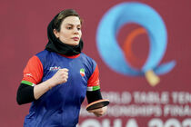 شهسواری به نیمه‌نهایی تنیس روی میز زنان صعود کرد