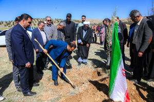 پویش ملی سرو ایران با کاشت ۲ میلیون اصله نهال در فارس