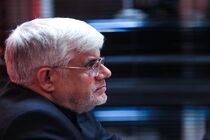 عارف خواستار تامین امنیت محیط‌بانان شد