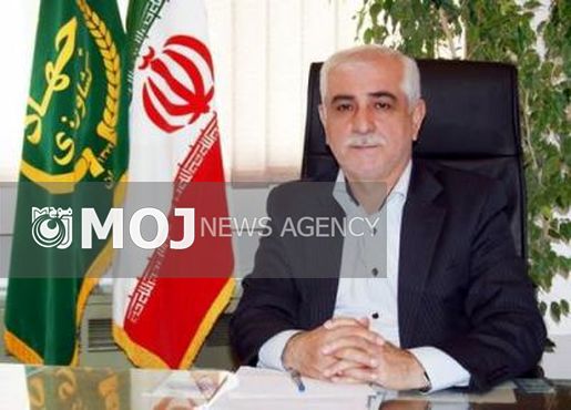 آمادگی مازندران برای توسعه صادرات محصولات باغی به روسیه