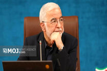 فرد یا جریانی که سرمایه وحدت ملی را تضعیف کند، به منافع ملی آسیب رسانده است