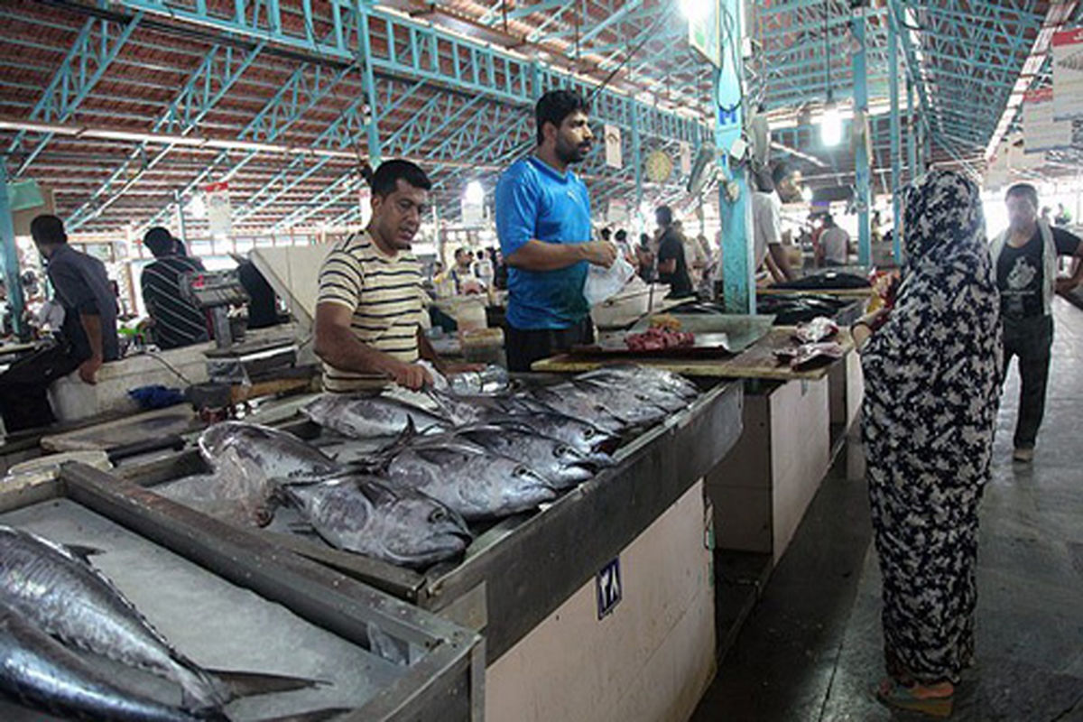 عرضه مستقیم ماهی در بازار صادقیه بندرعباس 