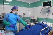 ابتلا ۵۰۹ نفر به بیماری کرونا در کاشان