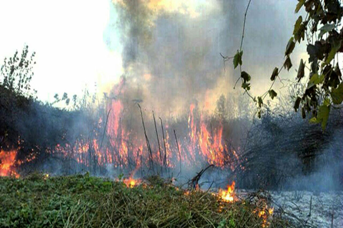 آتش نشانی رشت