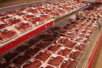 اجرای طرح «نذر قربانی برای احسان‌پذیران» در خراسان رضوی آغاز شد