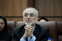 رئیس سازمان انرژی اتمی ایران وارد وین شد