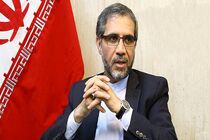 امیرعبداللهیان دیپلمات حرفه ای و شناخته شده در سطح منطقه و دنیا است