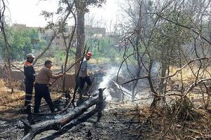 ۶۰ هکتار از باغ های شهرستان رودان در آتش سوخت/ خسارت سی  میلیارد ریالی به باغداران 