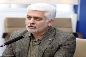 دولت برای توانمندسازی روستاها برنامه دارد