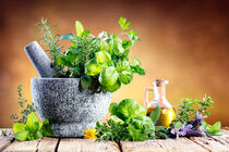 کوهسرخ، قطب‌ مهم گیاهان دارویی در خراسان رضوی
