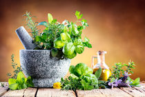 کوهسرخ، قطب‌ مهم گیاهان دارویی در خراسان رضوی