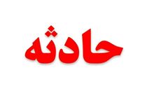جزئیات خودسوزی روبروی شهرداری تهران/ شهردار تهران صحنه را  ترک کرد+فیلم