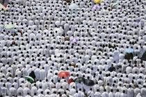 افزایش زائران فوت شده ایرانی در موسم حج به 14 تن