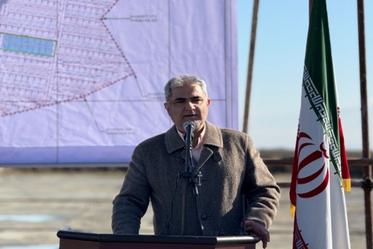 مدیرعامل سازمان ملی زمین و مسکن