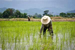 Iran's self sufficiency in agriculture production within 10 years