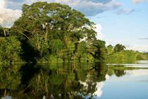 جاذبه های گردشگری هرمزگان در سطح وسیع معرفی شوند/لزوم ساماندهی و ایجاد امکانات تفریحی در سواحل