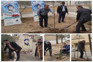 کاشت نهال در مخابرات خمینی شهر