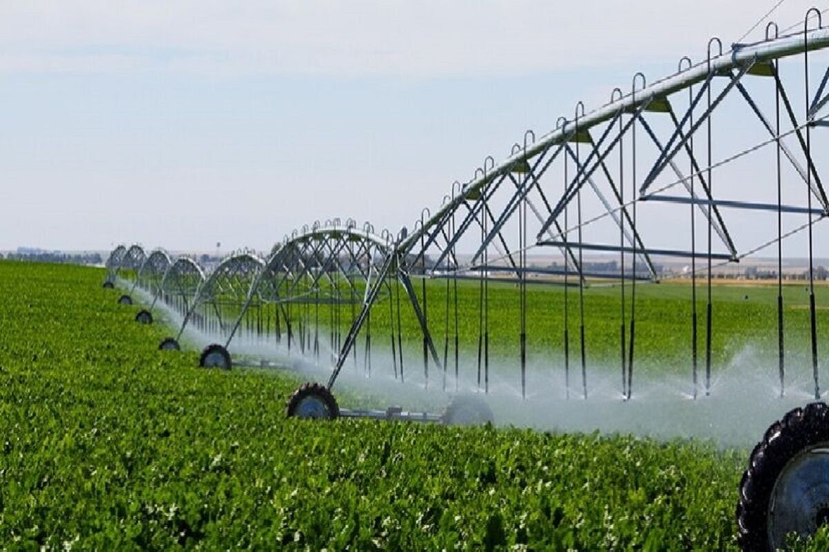 کشاورزی