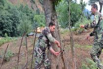 رفع تصرف بیش از ۲۰۰ هزار مترمربع زمین منابع طبیعی در فومن