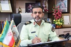 کشف احشام قاچاق در دهلران 