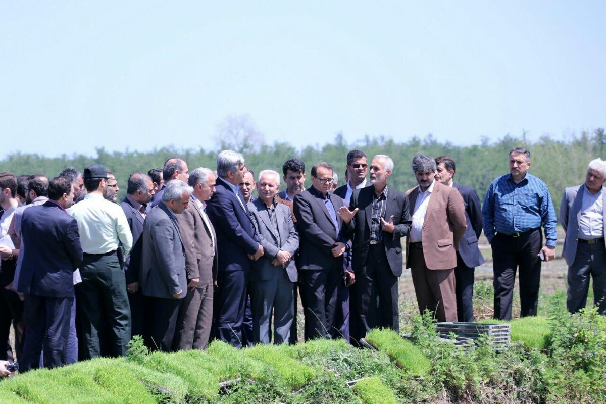 استاندار- گیلان