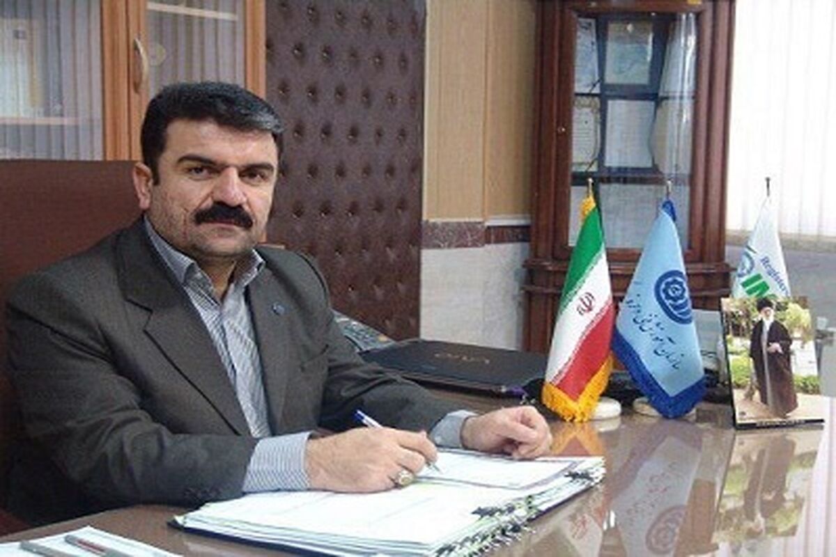 سید جمیل احمدی