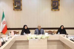 حوزه اجتماعی بازتاب عملکرد سایر حوزه‌هاست/ پیشگیری از خودکشی نیازمند مداخله هدفمند در محلات پرخطر است