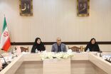 حوزه اجتماعی بازتاب عملکرد سایر حوزه‌هاست/ پیشگیری از خودکشی نیازمند مداخله هدفمند در محلات پرخطر است