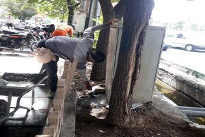 آغاز مبارزه با موش‌های فاضلاب در منطقه یک قم