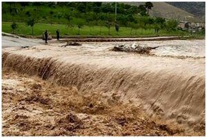 سخنگوی مدیریت بحران کشور آخرین وضعیت مناطق سیل زده را تشریح کرد