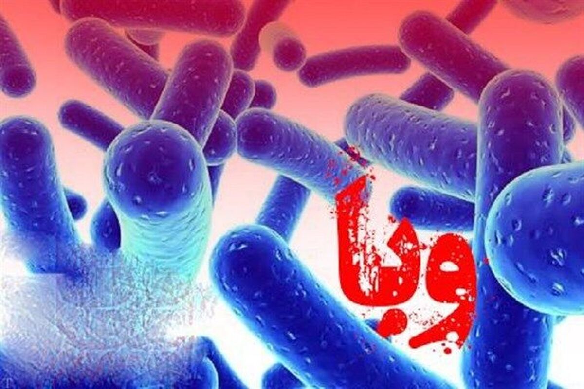 وبا