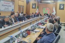 راه‌اندازی کارخانه پرداخت و دباغی صنایع‌دستی ایلام نیازمند حمایت ویژه است