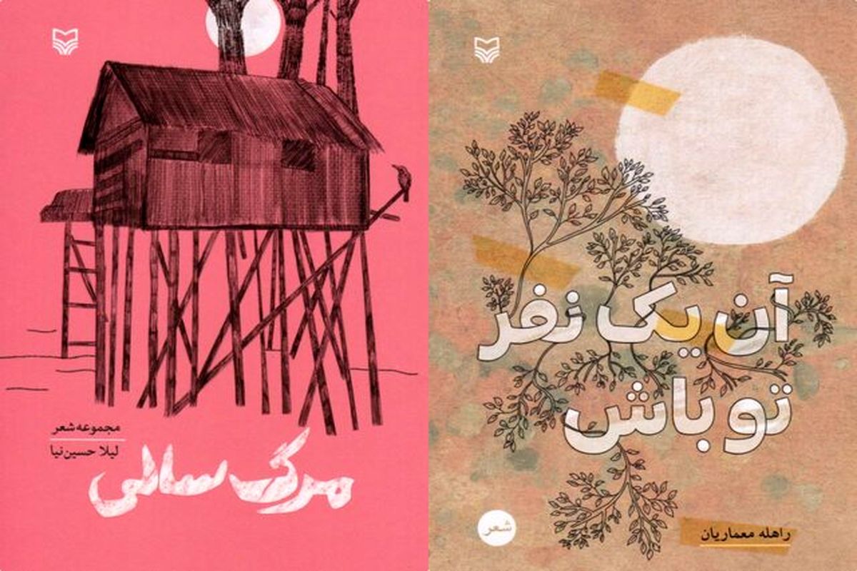 ۲ مجموعه شعر از بانوان منتشر شد