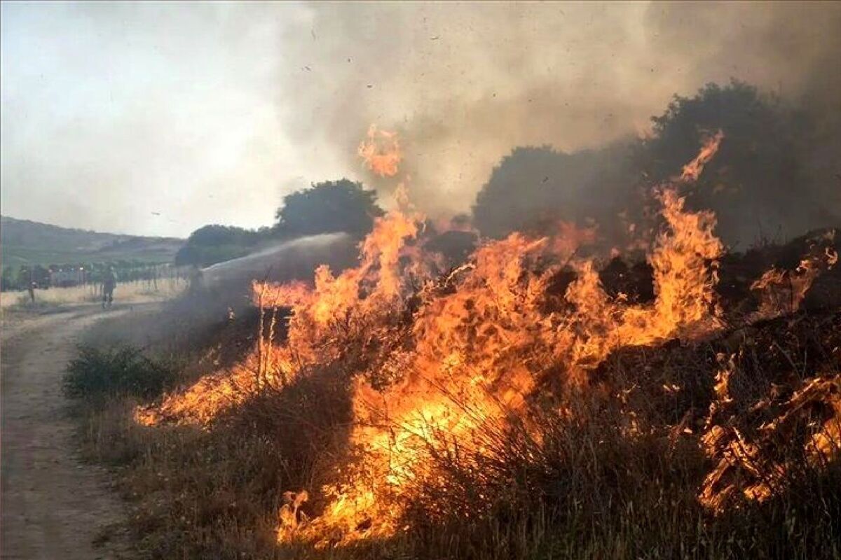 آتش سوزی 