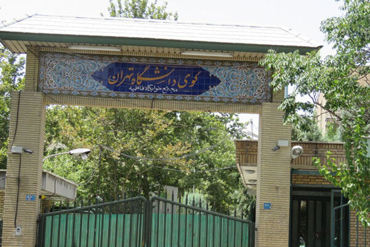 دانشگاه تهران