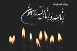 استاندار خراسان رضوی شهادت سعید شمقدری و فرزندانش را تسلیت گفت