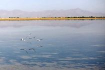 افزایش ۶ سانتی متری تراز تالاب قوری گل با انتقال ۷۰۰ هزار مترمکعب آب