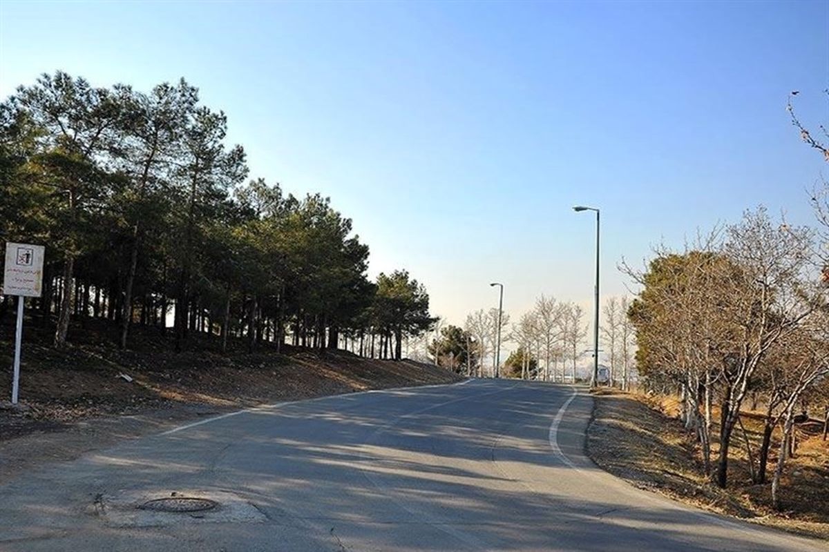 بوستان جنگلی