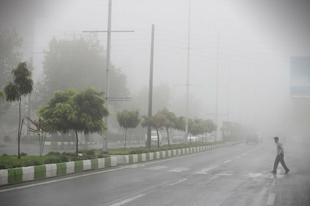 رطوبت هوا