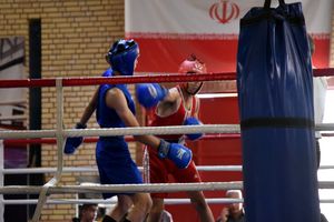 ملی پوشی بوکسور نونهال قمی 