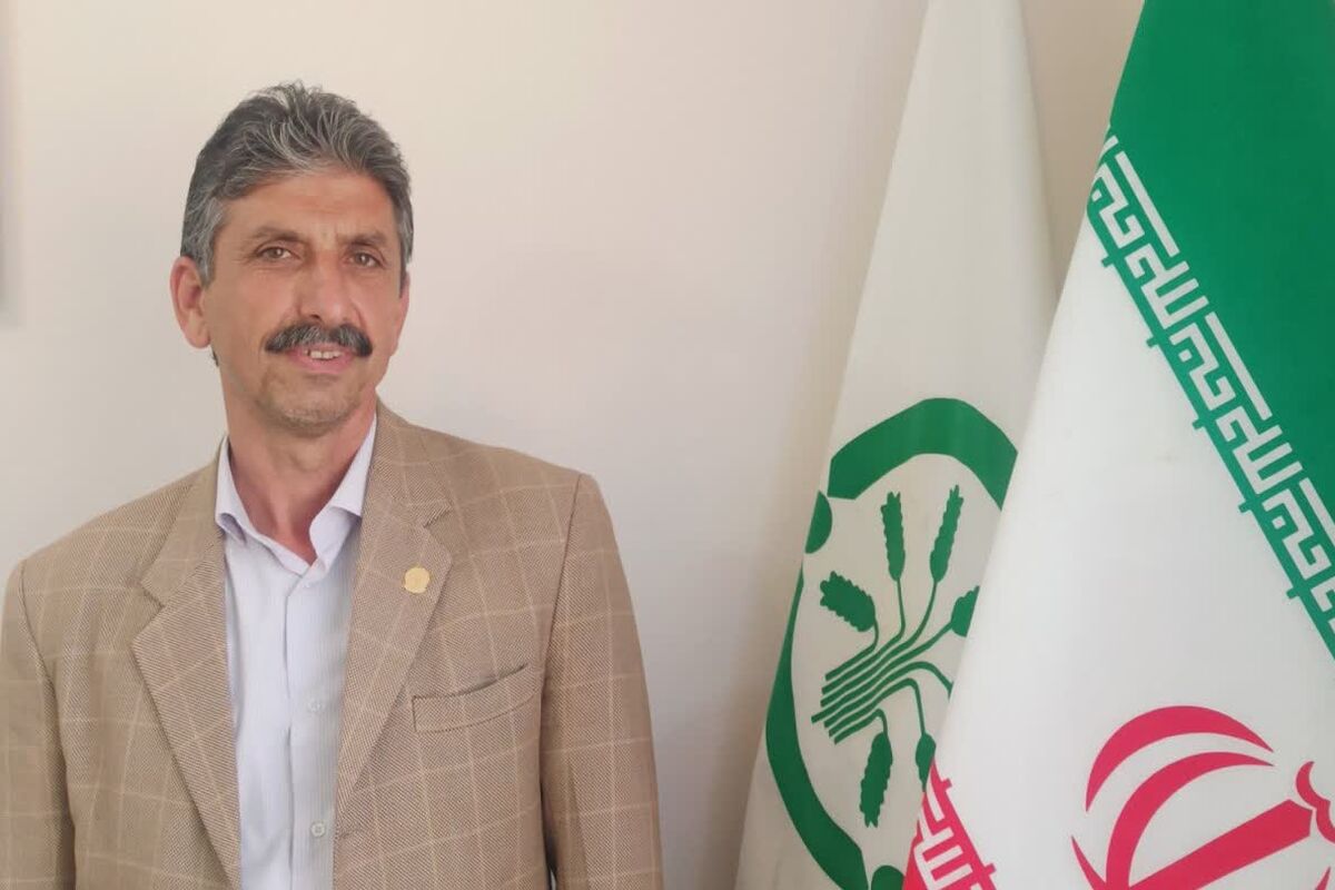 بیگی