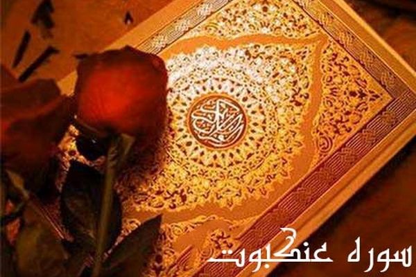 فضیلت خواندن سوره عنکبوت+صوت و متن و ترجمه کامل سوره عنکبوت