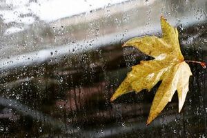 بیشترین بارش‌ در نایین ثبت شد  