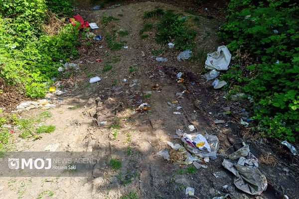 رئیس سازمان حفاظت محیط زیست بر عدم رهاسازی سبزه عید و ماهی‌های قرمز در رودخانه‌ها و آبگیرها تاکید کرد