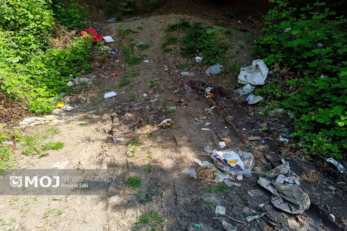 زخمهایی بر طبیعت