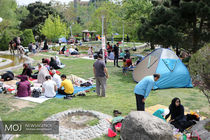  روز طبیعت در بوستان لاله