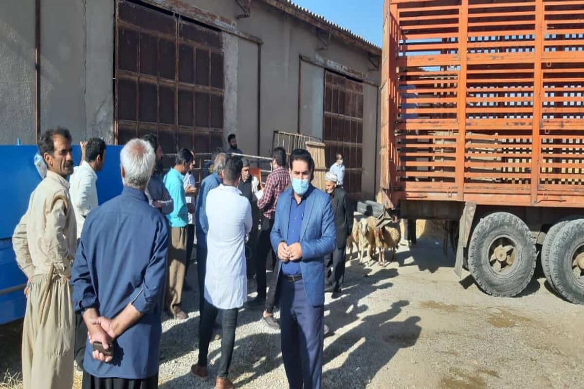 یعقوبی