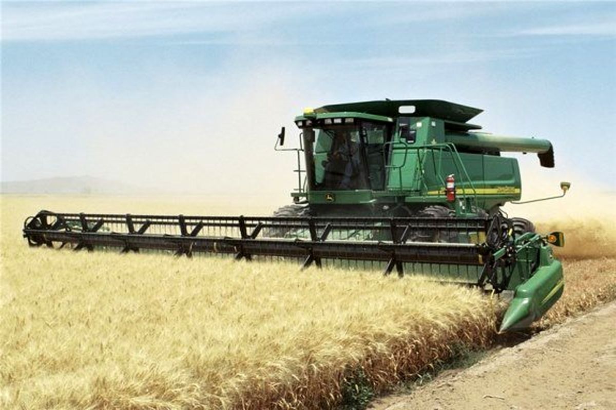 برداشت 12 هزار تن گندم از مزارع جوانرود