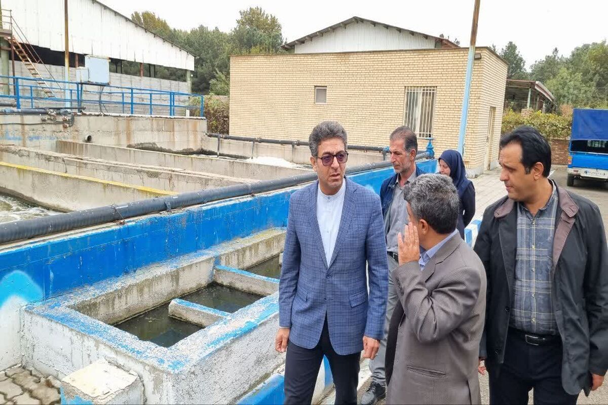 هاشم علایی