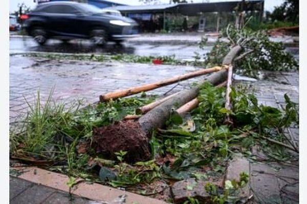 طوفان ویتنام ۸ کشته برجای گذاشت